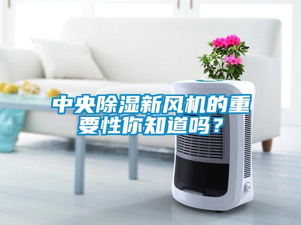 中央草莓视频黄色在线观看新风机的重要性你知道吗？