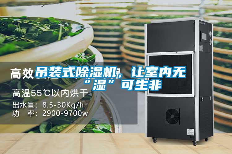 吊装式草莓视频黄色在线观看机，让室内无“湿”可生非