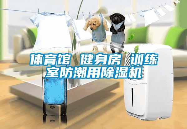 体育馆 健身房 训练室防潮用草莓视频黄色在线观看机