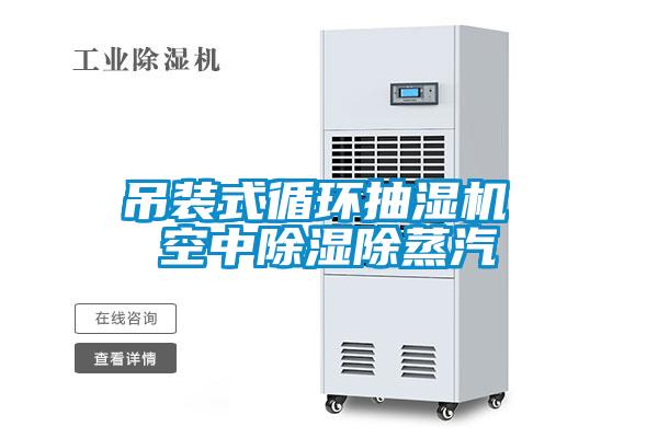 吊装式循环抽湿机 空中草莓视频黄色在线观看除蒸汽