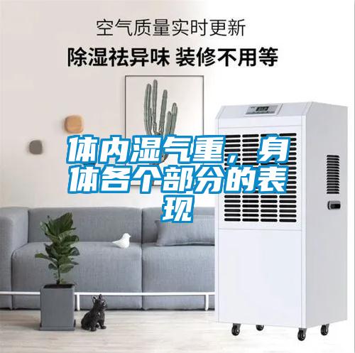 体内湿气重，身体各个部分的表现