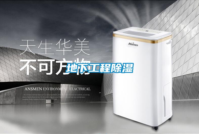 地下工程草莓视频黄色在线观看
