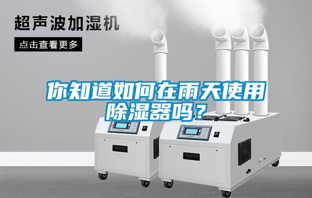 你知道如何在雨天使用草莓视频黄色在线观看器吗？