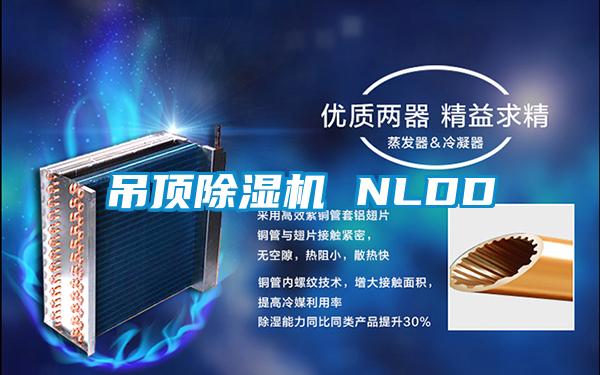 吊顶草莓视频黄色在线观看机 NLDD