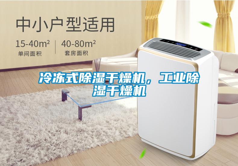 冷冻式草莓视频黄色在线观看干燥机，工业草莓视频黄色在线观看干燥机