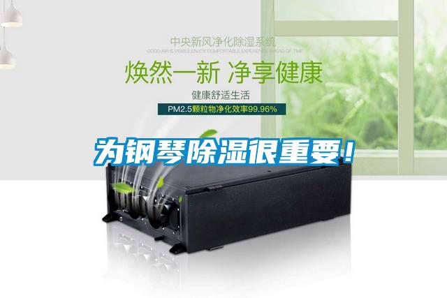 为钢琴草莓视频黄色在线观看很重要！