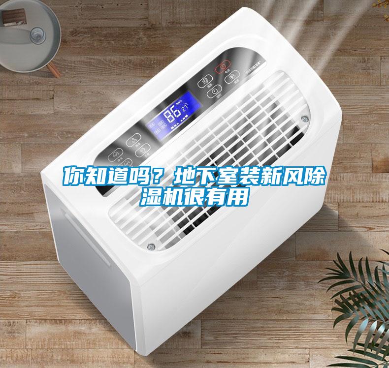 你知道吗？地下室装新风草莓视频黄色在线观看机很有用
