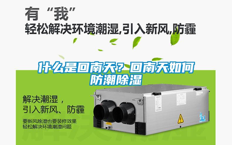 什么是回南天？回南天如何防潮草莓视频黄色在线观看
