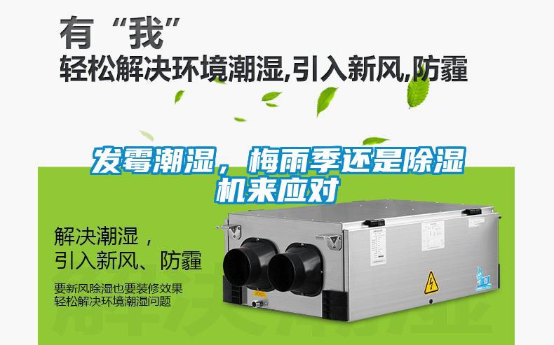 发霉潮湿，梅雨季还是草莓视频黄色在线观看机来应对