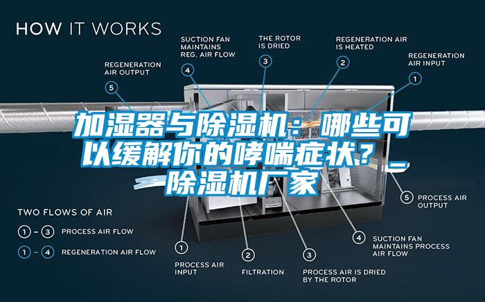 加湿器与草莓视频黄色在线观看机：哪些可以缓解你的哮喘症状？_草莓视频黄色在线观看机厂家
