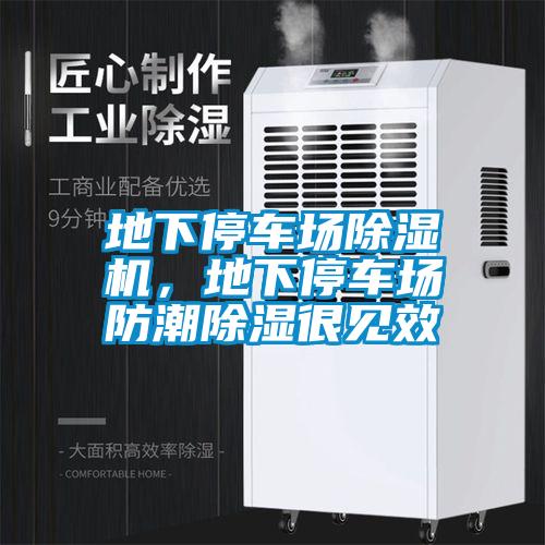 地下停车场草莓视频黄色在线观看机，地下停车场防潮草莓视频黄色在线观看很见效