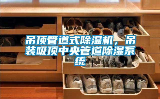 吊顶管道式草莓视频黄色在线观看机，吊装吸顶中央管道草莓视频黄色在线观看系统