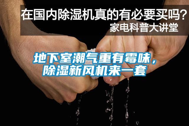 地下室潮气重有霉味，草莓视频黄色在线观看新风机来一套