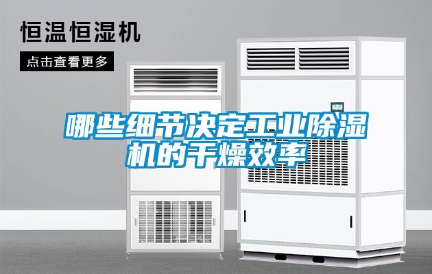 哪些细节决定工业草莓视频黄色在线观看机的干燥效率