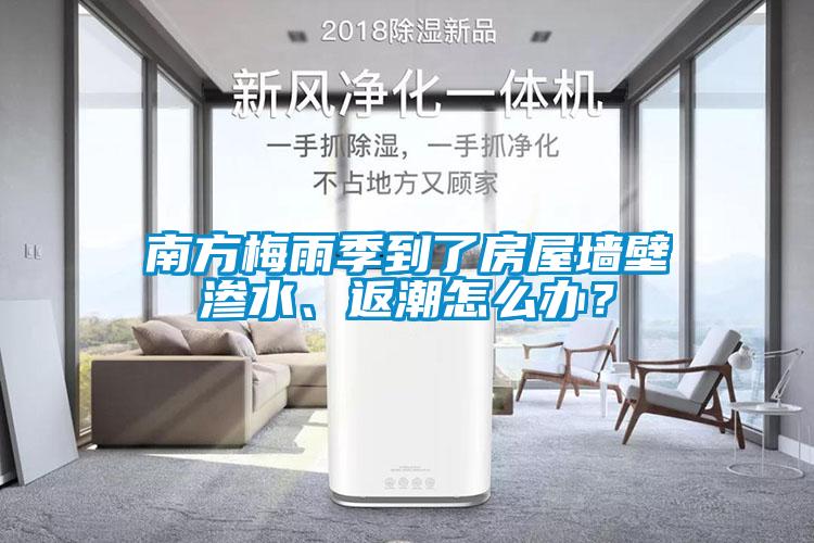 南方梅雨季到了房屋墙壁渗水、返潮怎么办？