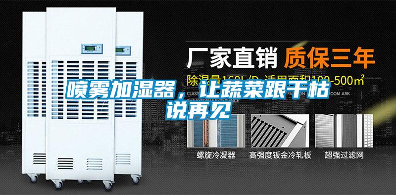 喷雾加湿器，让蔬菜跟干枯说再见