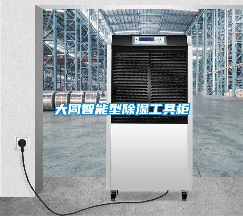 大同智能型草莓视频黄色在线观看工具柜