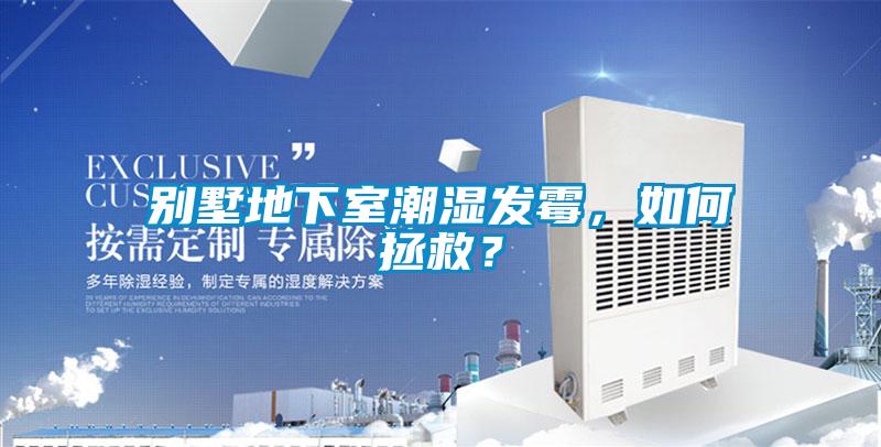 别墅地下室潮湿发霉，如何拯救？