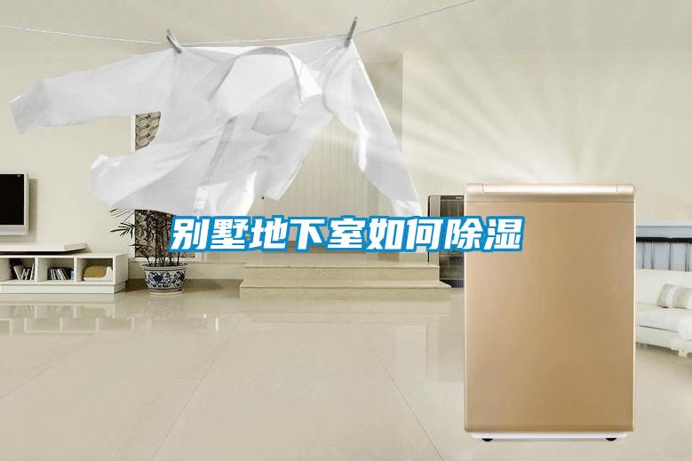 别墅地下室如何草莓视频黄色在线观看