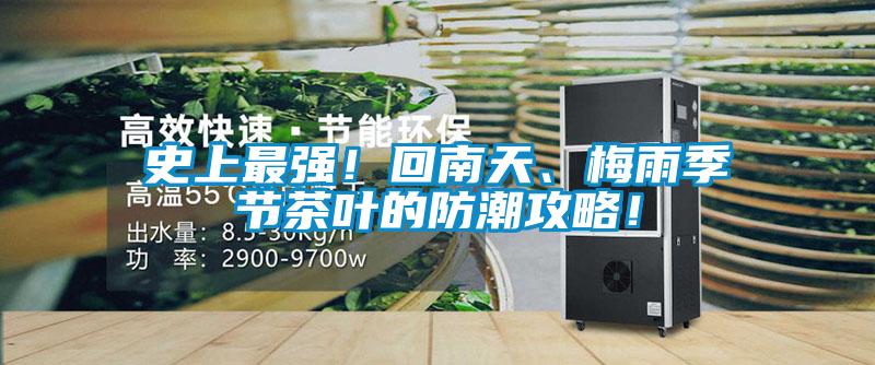 史上最强！回南天、梅雨季节茶叶的防潮攻略！