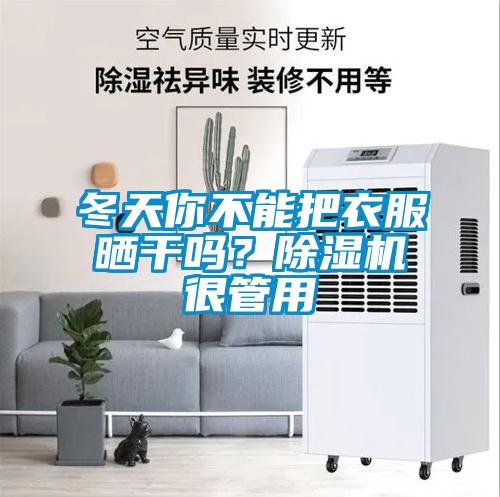 冬天你不能把衣服晒干吗？草莓视频黄色在线观看机很管用