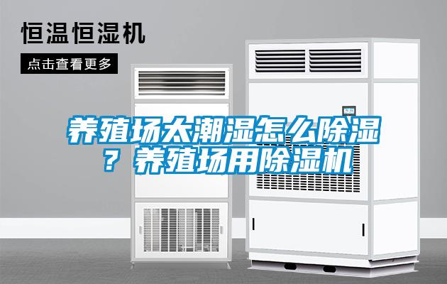 养殖场太潮湿怎么草莓视频黄色在线观看？养殖场用草莓视频黄色在线观看机