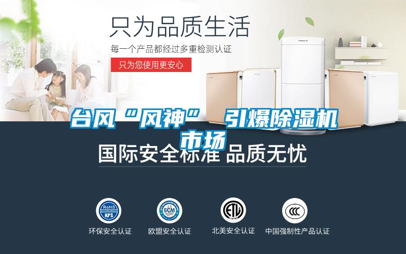 台风“风神” 引爆草莓视频黄色在线观看机市场