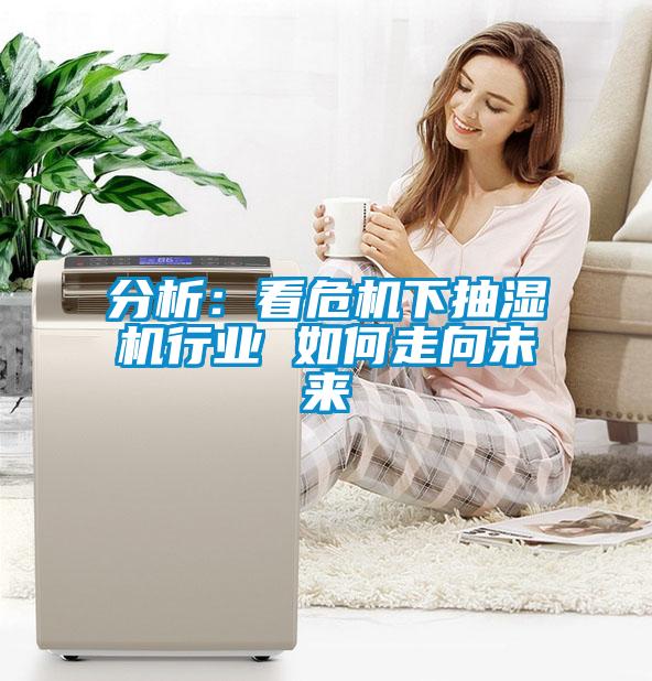 分析：看危机下抽湿机行业 如何走向未来