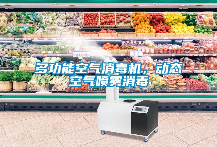 多功能空气消毒机，动态空气喷雾消毒