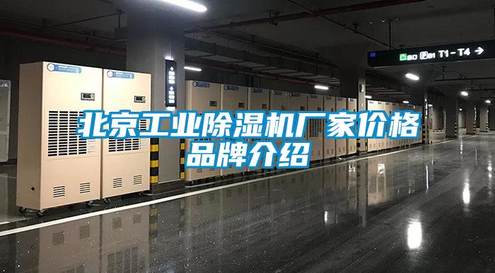 北京工业草莓视频黄色在线观看机厂家价格品牌介绍