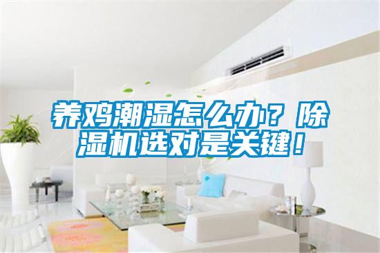 养鸡潮湿怎么办？草莓视频黄色在线观看机选对是关键！