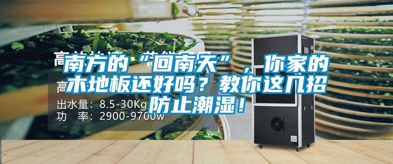 南方的“回南天”，你家的木地板还好吗？教你这几招防止潮湿！