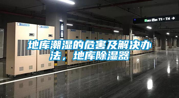 地库潮湿的危害及解决办法，地库草莓视频黄色在线观看器