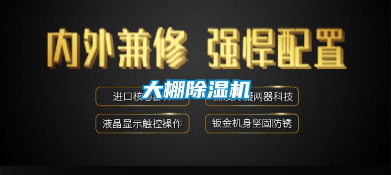 大棚草莓视频黄色在线观看机