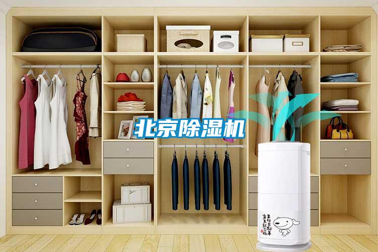 北京草莓视频黄色在线观看机
