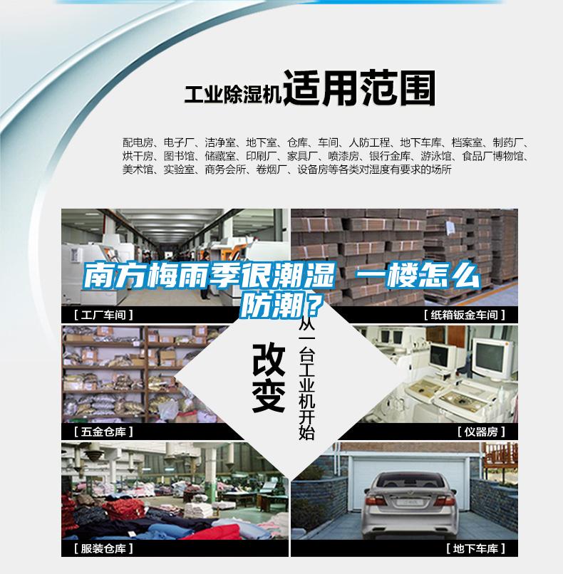 南方梅雨季很潮湿 一楼怎么防潮？