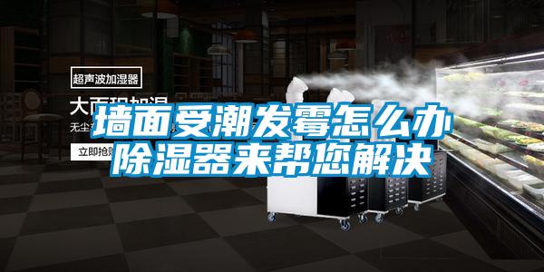 墙面受潮发霉怎么办草莓视频黄色在线观看器来帮您解决