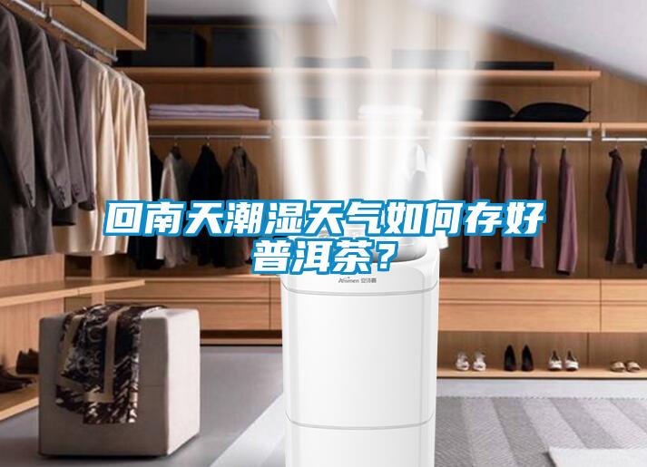 回南天潮湿天气如何存好普洱茶？