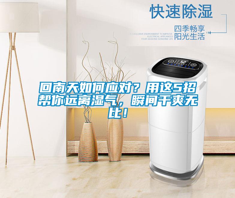 回南天如何应对？用这5招帮你远离湿气，瞬间干爽无比！