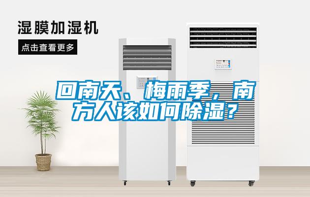 回南天、梅雨季，南方人该如何草莓视频黄色在线观看？