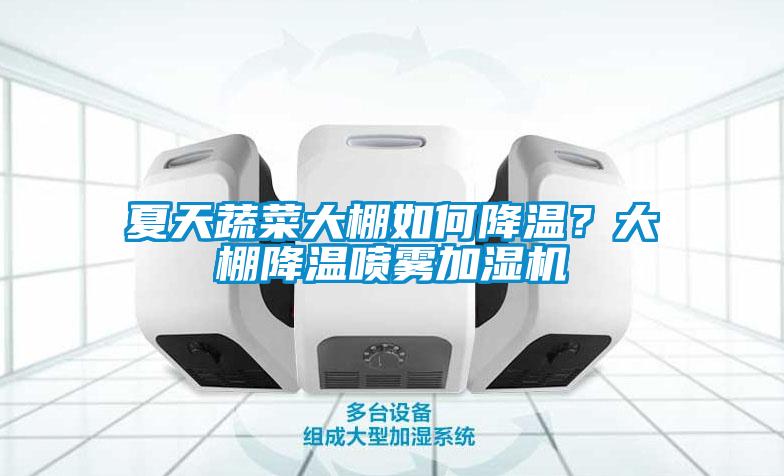夏天蔬菜大棚如何降温？大棚降温喷雾加湿机
