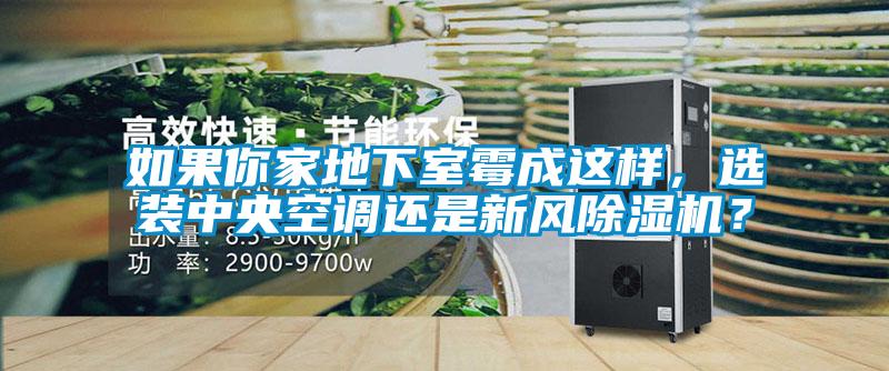如果你家地下室霉成这样，选装中央空调还是新风草莓视频黄色在线观看机？