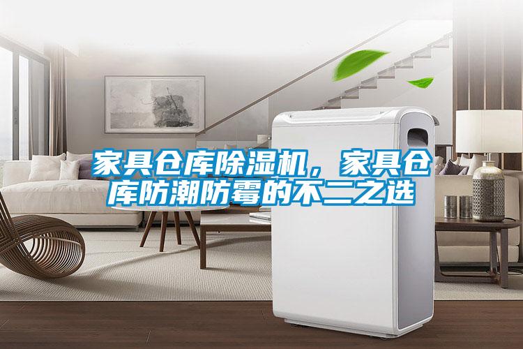 家具仓库草莓视频黄色在线观看机，家具仓库防潮防霉的不二之选