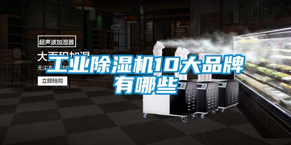工业草莓视频黄色在线观看机10大品牌有哪些