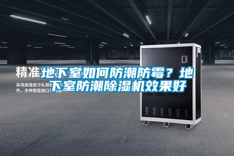 地下室如何防潮防霉？地下室防潮草莓视频黄色在线观看机效果好