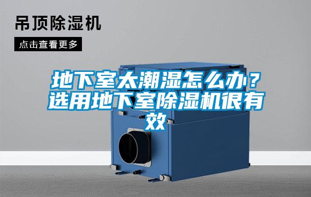 地下室太潮湿怎么办？选用地下室草莓视频黄色在线观看机很有效