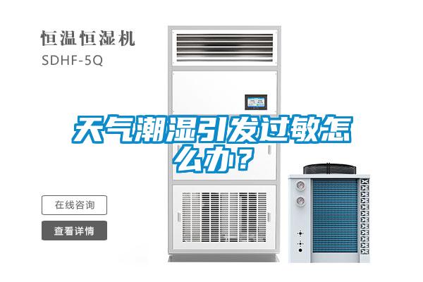 天气潮湿引发过敏怎么办？