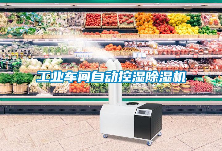 工业车间自动控湿草莓视频黄色在线观看机