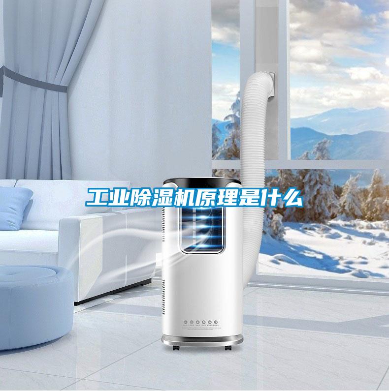 工业草莓视频黄色在线观看机原理是什么