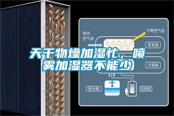 天干物燥加湿忙，喷雾加湿器不能少